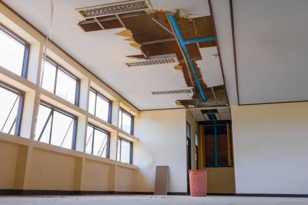 Best 24/7 water damage repair  in Onancock, VA