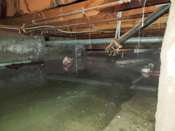 Best Sewage cleanup and water damage restoration  in Onancock, VA