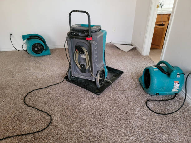 Best Carpet water damage restoration  in Onancock, VA