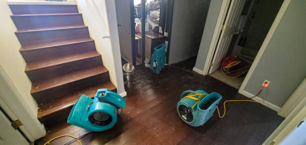 Best Commercial water damage restoration  in Onancock, VA