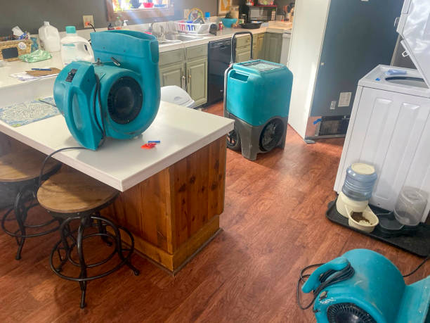 Best Residential water damage restoration  in Onancock, VA