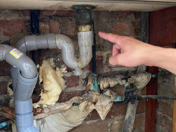 Best Professional water damage repair  in Onancock, VA